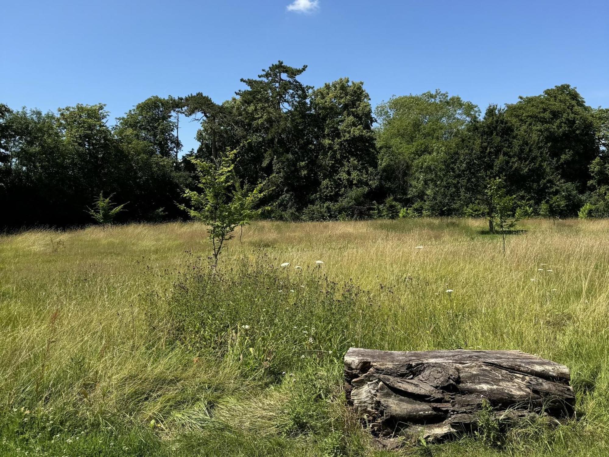 Hookwood Lodge London Gatwick Horley Esterno foto